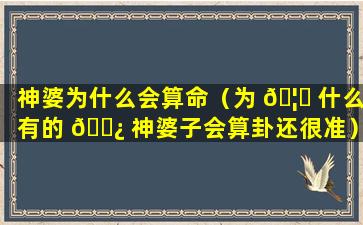 神婆为什么会算命（为 🦉 什么有的 🌿 神婆子会算卦还很准）